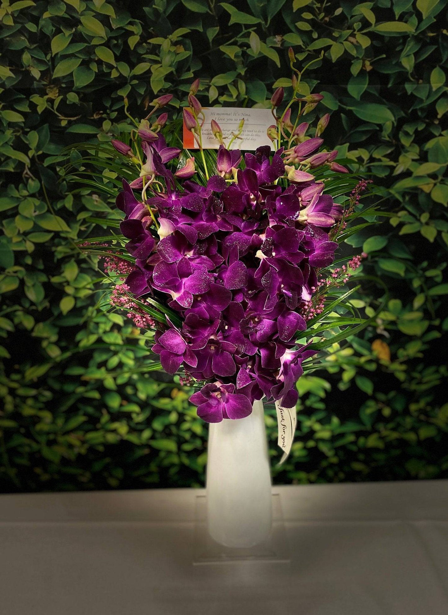Purple Orchid Oasis - Orchids by Donya's Florals
